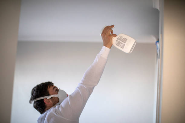 Best Local Mold Removal Service  in Defuniak Springs, FL